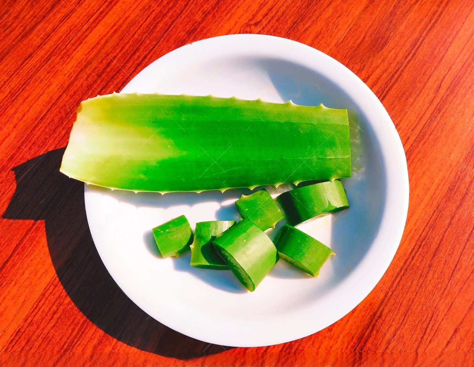 +10 maneiras de acabar com a coceira de forma natural